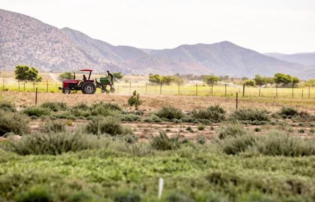 Protected: Scaling Landscape Restoration: A Commonland Success Story