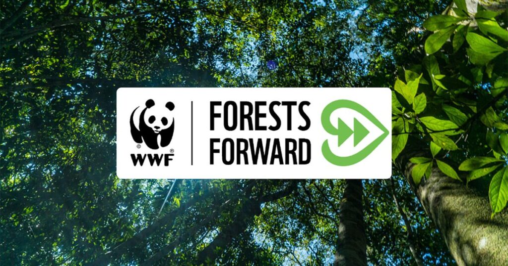 WWF Forest Forward on explorer.land