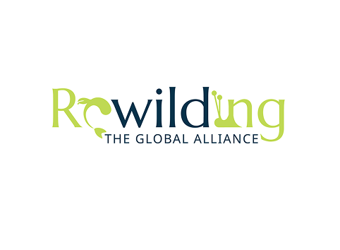 Rewilding