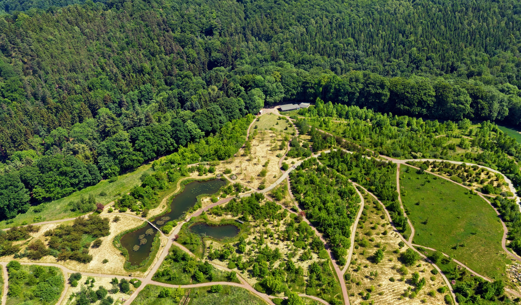 Visual forest growth: Forest-Botanical Garden, Tharandt